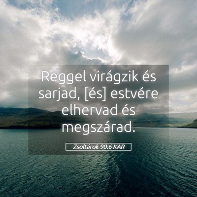 Picture 05 - Zsoltárok 90:6 KAR - Reggel virágzik és sarjad, [és] estvére - Bible Verse Picture