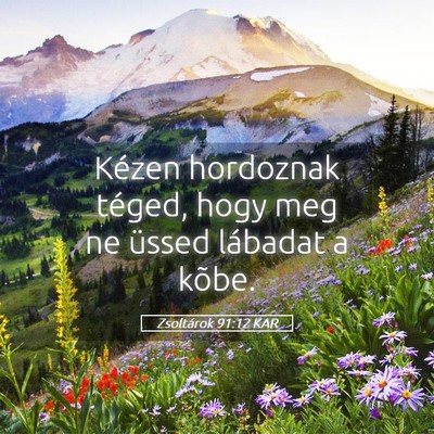 Picture 05 - Zsoltárok 91:12 KAR - Kézen hordoznak téged, hogy meg ne üssed - Bible Verse Picture