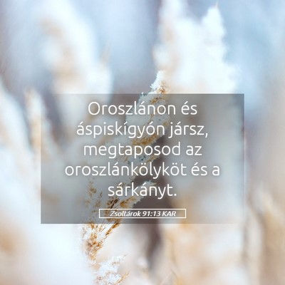 Picture 05 - Zsoltárok 91:13 KAR - Oroszlánon és áspiskígyón jársz, megtaposod - Bible Verse Picture