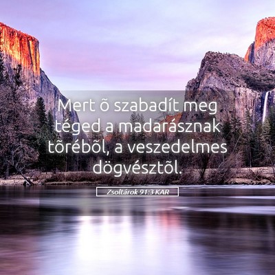 Picture 05 - Zsoltárok 91:3 KAR - Mert õ szabadít meg téged a madarásznak - Bible Verse Picture