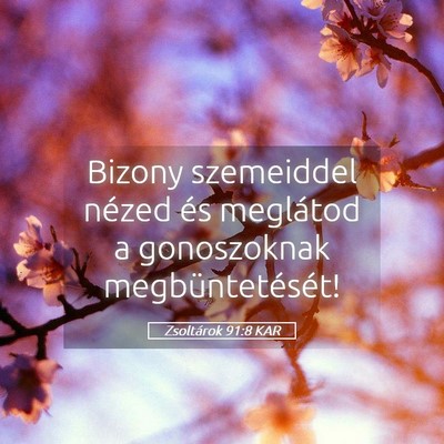 Picture 05 - Zsoltárok 91:8 KAR - Bizony szemeiddel nézed és meglátod a - Bible Verse Picture