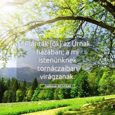 Picture 05 - Zsoltárok 92:14 KAR - Plánták [õk] az Úrnak házában; a mi - Bible Verse Picture