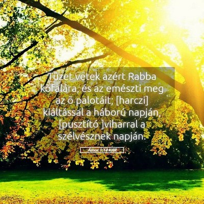 Picture 05 - Ámos 1:14 KAR - Tüzet vetek azért Rabba kõfalára, és az - Bible Verse Picture