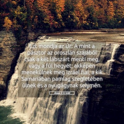 Picture 05 - Ámos 3:12 KAR - Ezt mondja az Úr: A mint a pásztor az oroszlán - Bible Verse Picture