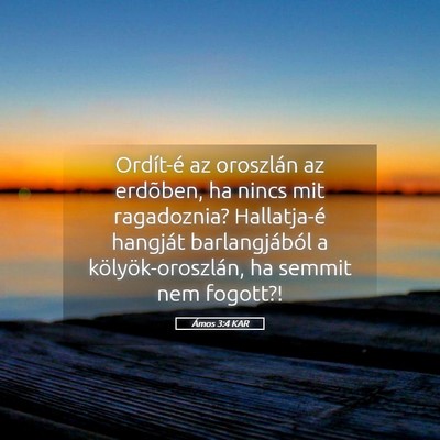 Picture 05 - Ámos 3:4 KAR - Ordít-é az oroszlán az erdõben, ha nincs mit - Bible Verse Picture