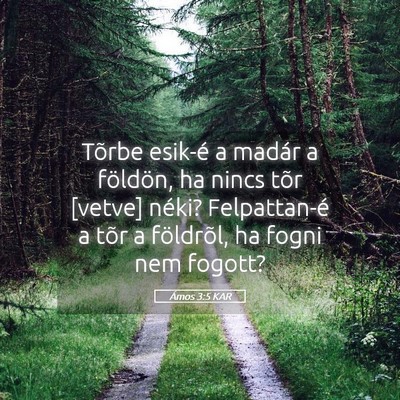 Picture 05 - Ámos 3:5 KAR - Tõrbe esik-é a madár a földön, ha nincs tõr - Bible Verse Picture