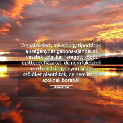 Picture 05 - Ámos 5:11 KAR - Annakokáért, mivelhogy tiportátok a szegényt - Bible Verse Picture