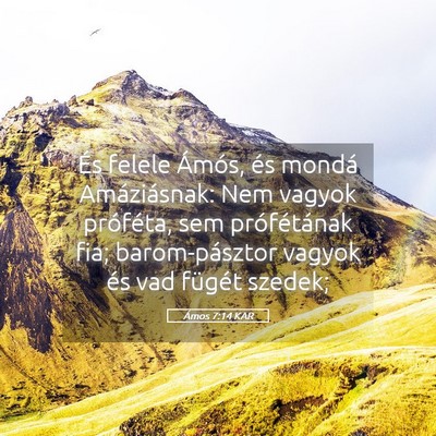 Picture 05 - Ámos 7:14 KAR - És felele Ámós, és mondá Amáziásnak: Nem - Bible Verse Picture