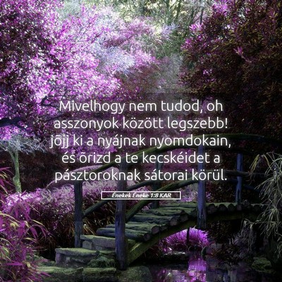 Picture 05 - Énekek Éneke 1:8 KAR - Mivelhogy nem tudod, oh asszonyok között - Bible Verse Picture