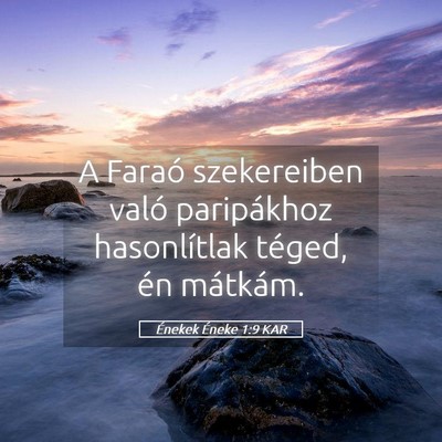 Picture 05 - Énekek Éneke 1:9 KAR - A Faraó szekereiben való paripákhoz - Bible Verse Picture