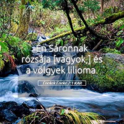 Picture 05 - Énekek Éneke 2:1 KAR - Én Sáronnak rózsája [vagyok,] és a völgyek - Bible Verse Picture