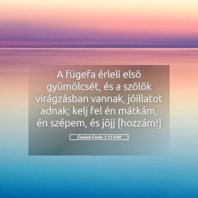 Picture 05 - Énekek Éneke 2:13 KAR - A fügefa érleli elsõ gyümölcsét, és a - Bible Verse Picture