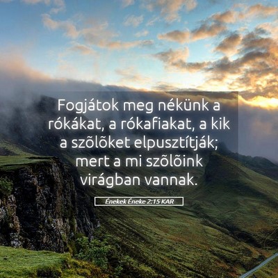 Picture 05 - Énekek Éneke 2:15 KAR - Fogjátok meg nékünk a rókákat, a - Bible Verse Picture