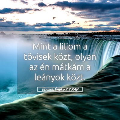 Picture 05 - Énekek Éneke 2:2 KAR - Mint a liliom a tövisek közt, olyan az én - Bible Verse Picture