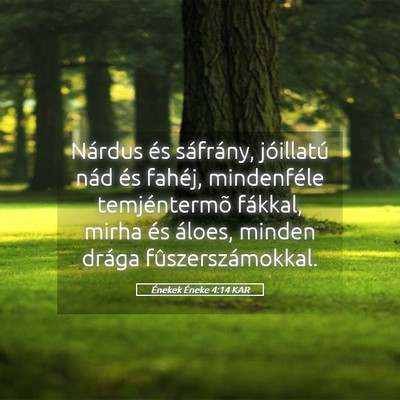 Picture 05 - Énekek Éneke 4:14 KAR - Nárdus és sáfrány, jóillatú nád és - Bible Verse Picture
