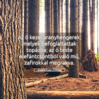 Picture 05 - Énekek Éneke 5:14 KAR - Az õ kezei aranyhengerek; melyek befoglaltattak - Bible Verse Picture