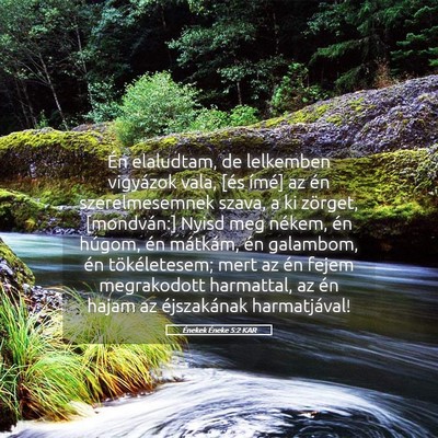 Picture 05 - Énekek Éneke 5:2 KAR - Én elaludtam, de lelkemben vigyázok vala, [és - Bible Verse Picture