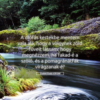 Picture 05 - Énekek Éneke 6:8 KAR - A diófás kertekbe mentem vala alá, hogy a - Bible Verse Picture