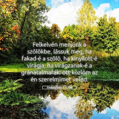 Picture 05 - Énekek Éneke 7:12 KAR - Felkelvén menjünk a szõlõkbe, lássuk meg, ha - Bible Verse Picture