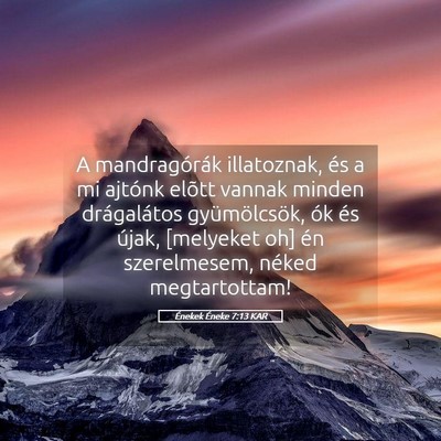 Picture 05 - Énekek Éneke 7:13 KAR - A mandragórák illatoznak, és a mi ajtónk - Bible Verse Picture