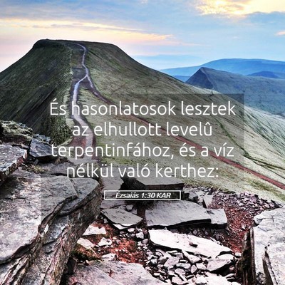 Picture 05 - Ézsaiás 1:30 KAR - És hasonlatosok lesztek az elhullott levelû - Bible Verse Picture