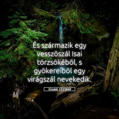Picture 05 - Ézsaiás 11:1 KAR - És származik egy vesszõszál Isai - Bible Verse Picture