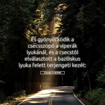 Picture 05 - Ézsaiás 11:8 KAR - És gyönyörködik a csecsszopó a viperák - Bible Verse Picture