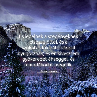 Picture 05 - Ézsaiás 14:30 KAR - És legelnek a szegényeknek elsõszülöttei, - Bible Verse Picture