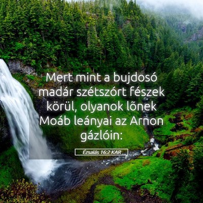 Picture 05 - Ézsaiás 16:2 KAR - Mert mint a bujdosó madár szétszórt fészek - Bible Verse Picture