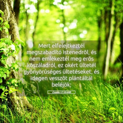 Picture 05 - Ézsaiás 17:10 KAR - Mert elfelejtkeztél megszabadító Istenedrõl, - Bible Verse Picture