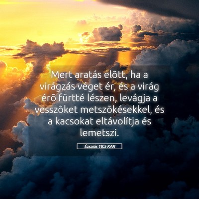 Picture 05 - Ézsaiás 18:5 KAR - Mert aratás elõtt, ha a virágzás véget ér, - Bible Verse Picture