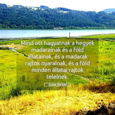 Picture 05 - Ézsaiás 18:6 KAR - Mind ott hagyatnak a hegyek madarainak és a - Bible Verse Picture