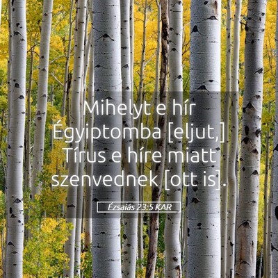 Picture 05 - Ézsaiás 23:5 KAR - Mihelyt e hír Égyiptomba [eljut,] Tírus e - Bible Verse Picture