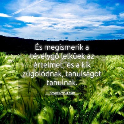 Picture 05 - Ézsaiás 29:24 KAR - És megismerik a tévelygõ lelkûek az - Bible Verse Picture