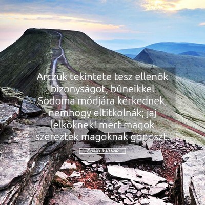 Picture 05 - Ézsaiás 3:10 KAR - Arczuk tekintete tesz ellenök bizonyságot, - Bible Verse Picture