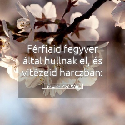 Picture 05 - Ézsaiás 3:26 KAR - Férfiaid fegyver által hullnak el, és - Bible Verse Picture