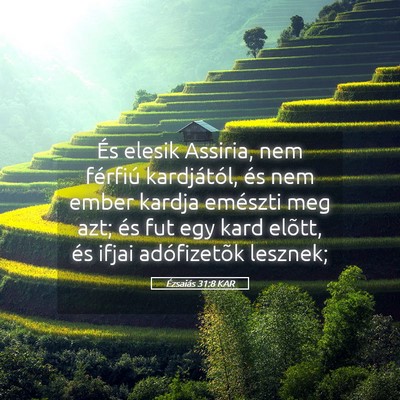 Picture 05 - Ézsaiás 31:8 KAR - És elesik Assiria, nem férfiú kardjától, és - Bible Verse Picture