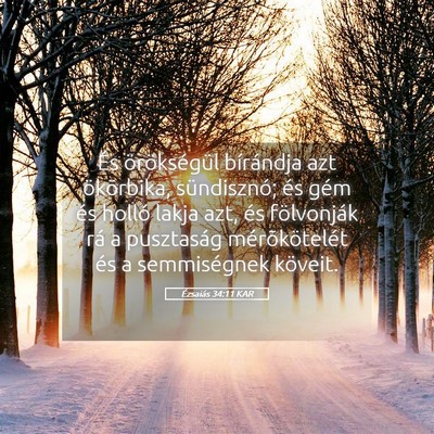 Picture 05 - Ézsaiás 34:11 KAR - És örökségül bírándja azt ökörbika, - Bible Verse Picture