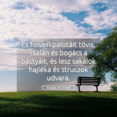 Picture 05 - Ézsaiás 34:13 KAR - És fölveri palotáit tövis, csalán és - Bible Verse Picture