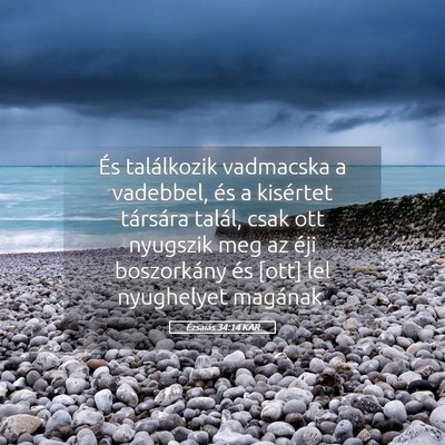 Picture 05 - Ézsaiás 34:14 KAR - És találkozik vadmacska a vadebbel, és a - Bible Verse Picture