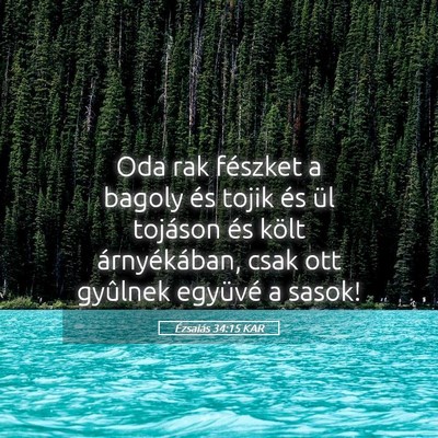 Picture 05 - Ézsaiás 34:15 KAR - Oda rak fészket a bagoly és tojik és ül - Bible Verse Picture