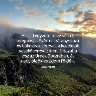Picture 05 - Ézsaiás 34:6 KAR - Az Úr fegyvere telve vérrel, megrakva - Bible Verse Picture