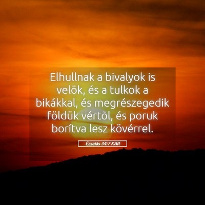 Picture 05 - Ézsaiás 34:7 KAR - Elhullnak a bivalyok is velök, és a tulkok a - Bible Verse Picture