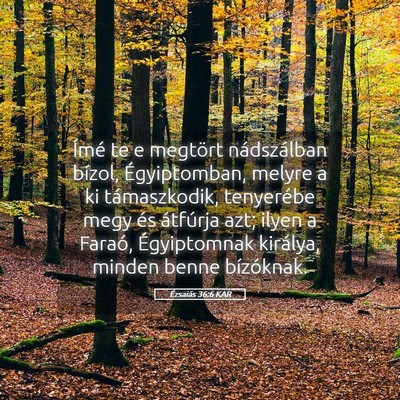 Picture 05 - Ézsaiás 36:6 KAR - Ímé te e megtört nádszálban bízol, - Bible Verse Picture
