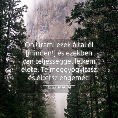 Picture 05 - Ézsaiás 38:16 KAR - Oh Uram! ezek által él [minden!] és ezekben - Bible Verse Picture
