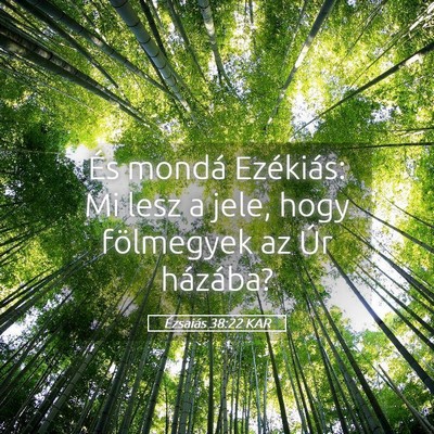 Picture 05 - Ézsaiás 38:22 KAR - És mondá Ezékiás: Mi lesz a jele, hogy - Bible Verse Picture