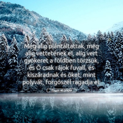 Picture 05 - Ézsaiás 40:24 KAR - Még alig plántáltattak, még alig vettetének - Bible Verse Picture