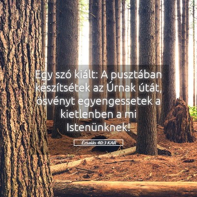 Picture 05 - Ézsaiás 40:3 KAR - Egy szó kiált: A pusztában készítsétek az - Bible Verse Picture