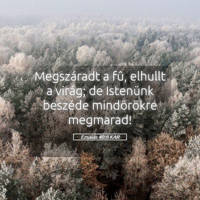 Picture 05 - Ézsaiás 40:8 KAR - Megszáradt a fû, elhullt a virág; de Istenünk - Bible Verse Picture