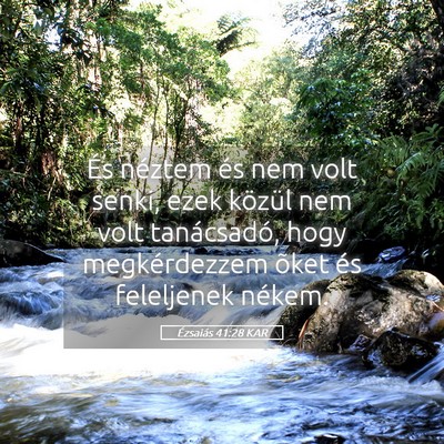 Picture 05 - Ézsaiás 41:28 KAR - És néztem és nem volt senki, ezek közül nem - Bible Verse Picture
